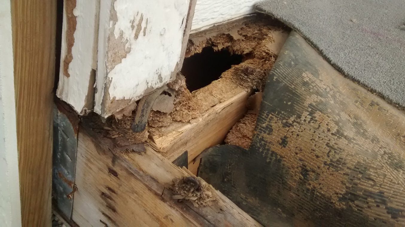 Porch Repair