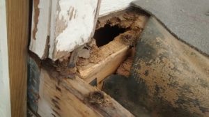 How to Prevent Dry Rot from Ruining Your Deck -Helpful Suggestions from Your Trusted Deck Builder in Montclair